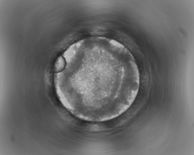 X0000113230755200910221039