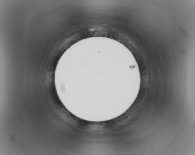 X0000113230756200910221039