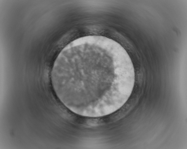 X0000113230757200910221039