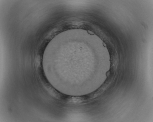 X0000113230758200910221039