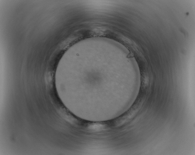 X0000113230759200910221039