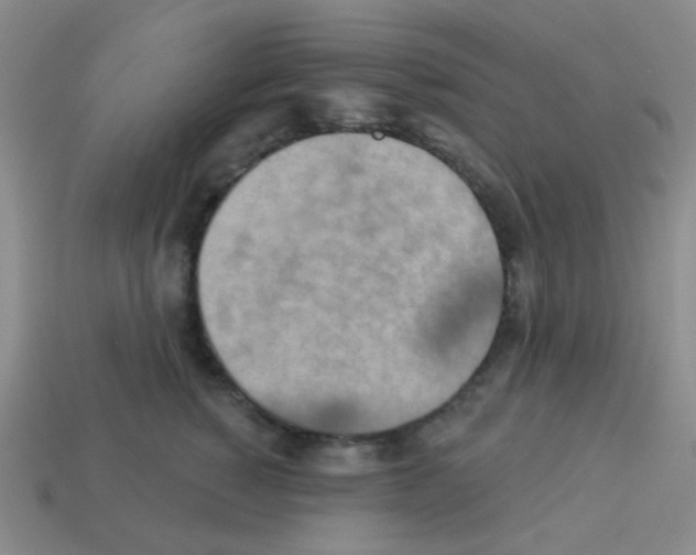 X0000113230760200910221039