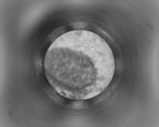 X0000113230761200910221039