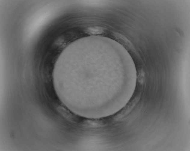 X0000113230763200910221039