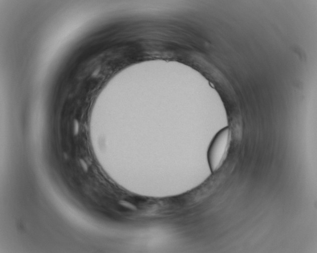 X0000113230764200910221039