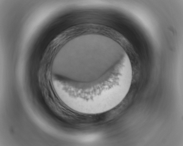 X0000113230765200910221039