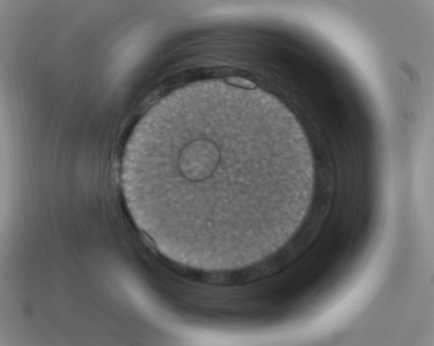 X0000113230766200910221039