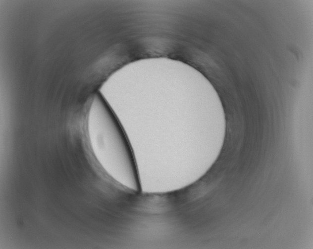 X0000113230768200910221039