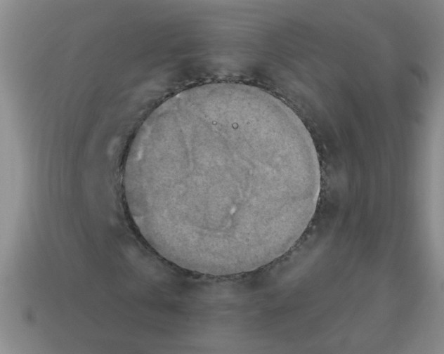 X0000113230769200910221038