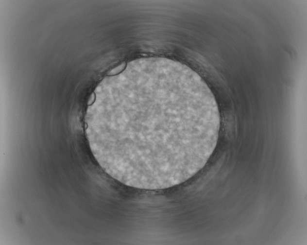 X0000113230770200910221038