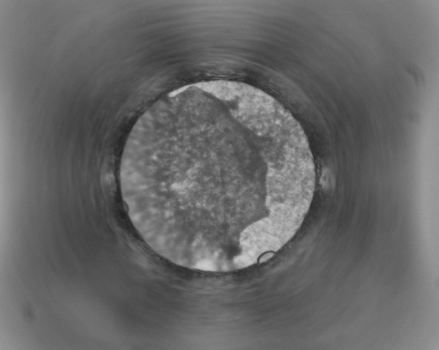 X0000113230771200910221038