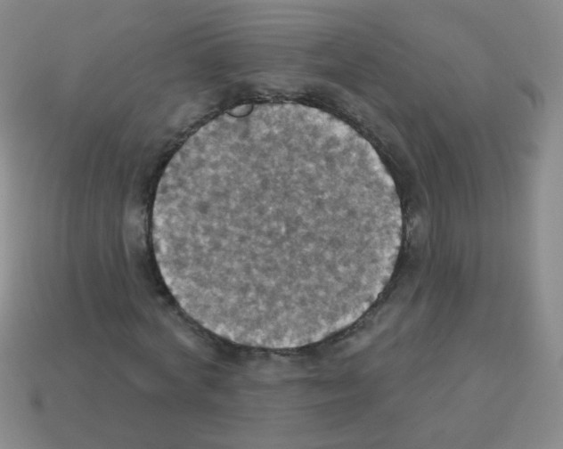 X0000113230772200910221038