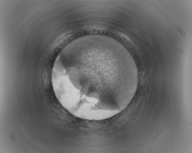 X0000113230774200910221038