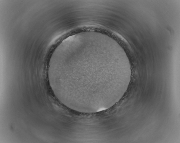 X0000113230775200910221038