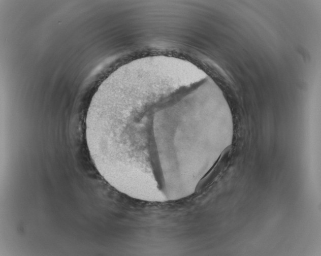 X0000113230776200910221038