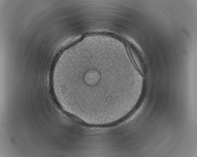 X0000113230777200910221038