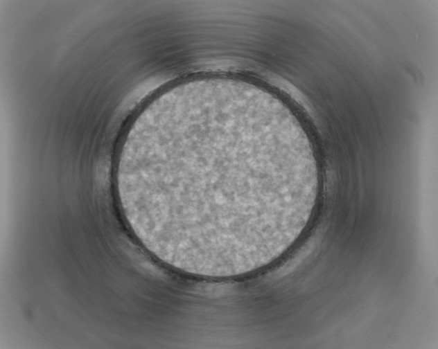 X0000113230778200910221038