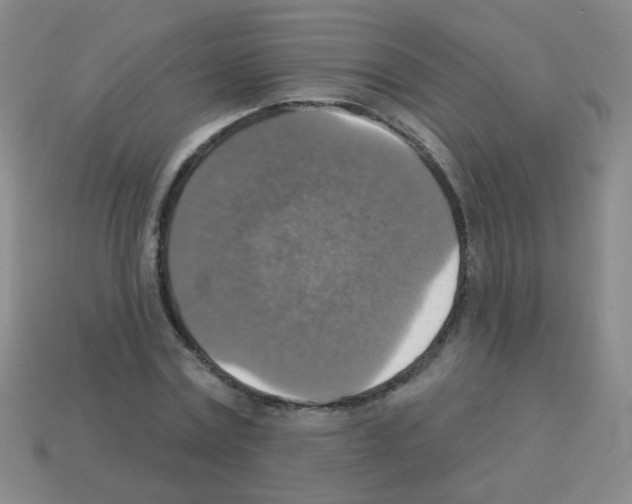 X0000113230779200910221038