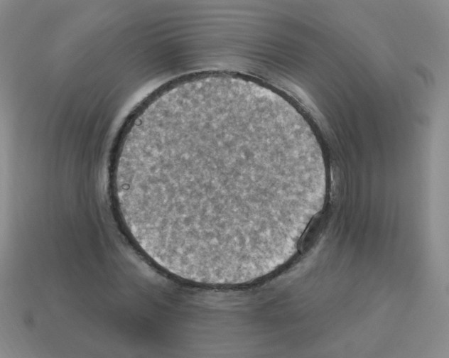 X0000113230780200910221038