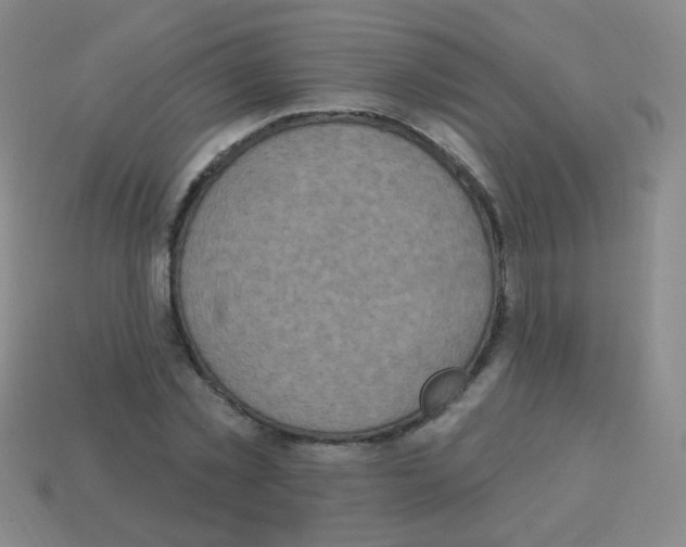 X0000113230781200910221038