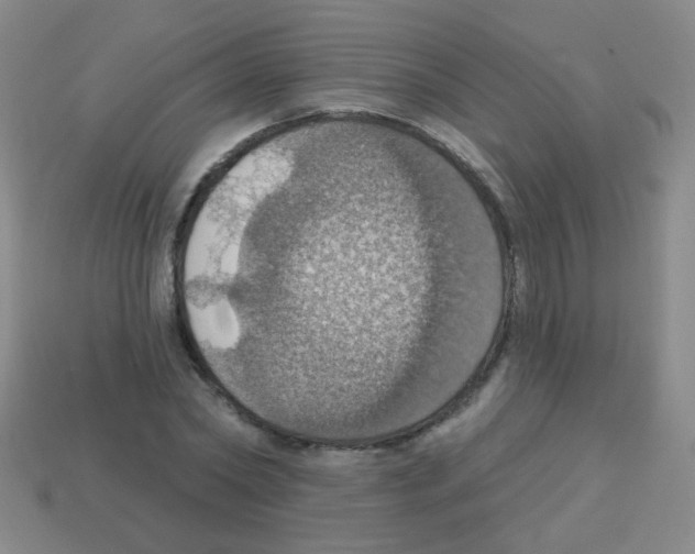 X0000113230782200910221038