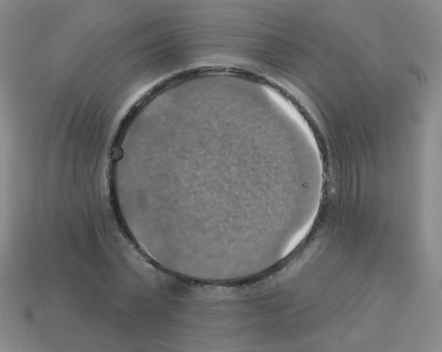 X0000113230783200910221038