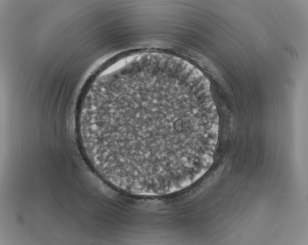 X0000113230784200910221038