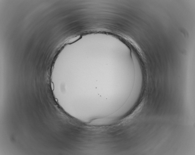 X0000113230785200910221038