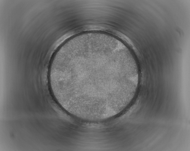 X0000113230786200910221038