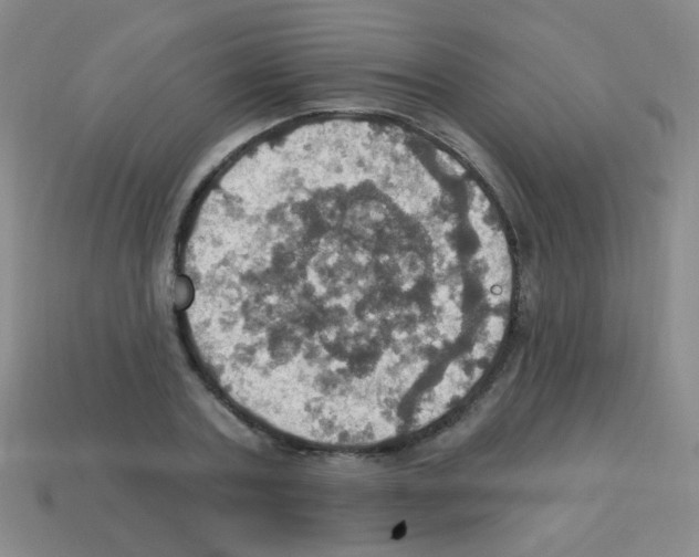 X0000113230787200910221038