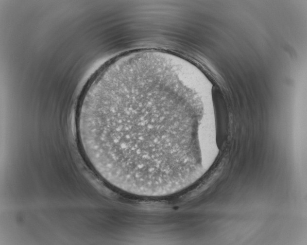 X0000113230788200910221038