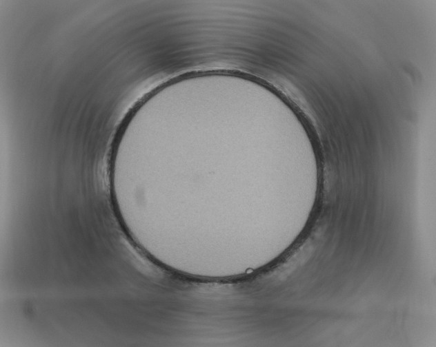 X0000113230789200910221038