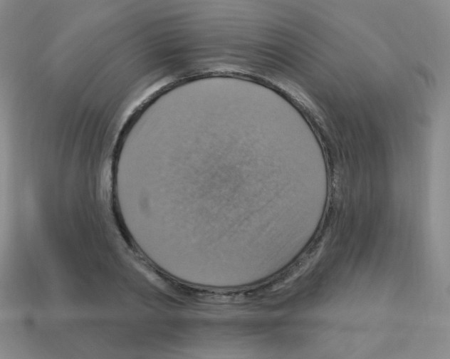 X0000113230790200910221038