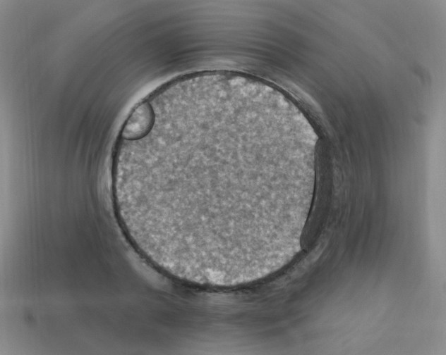 X0000113230792200910221038