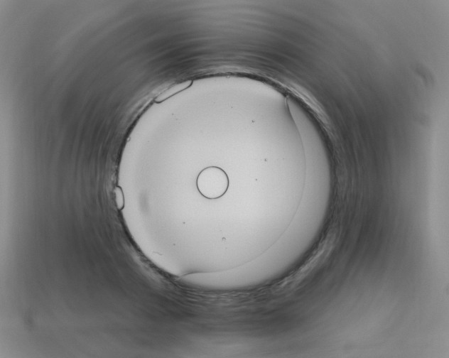 X0000113230793200910221038