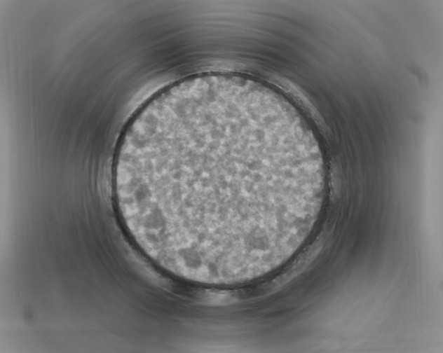 X0000113230794200910221038