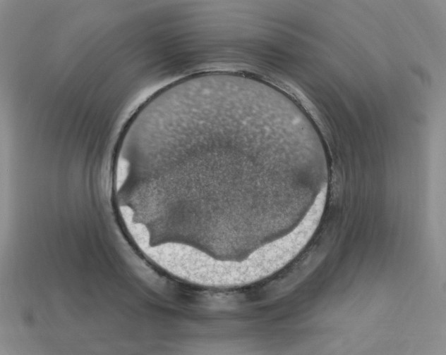 X0000113230795200910221038