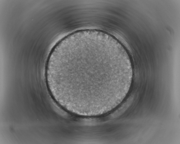 X0000113230797200910221038