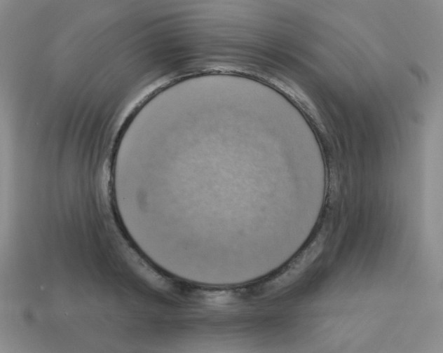 X0000113230798200910221038