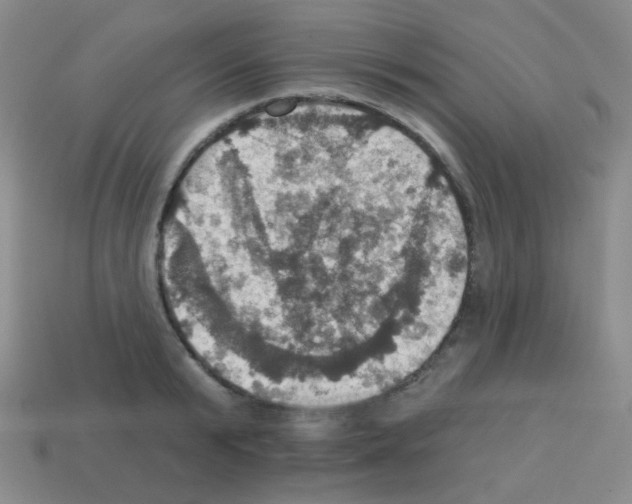 X0000113230799200910221038