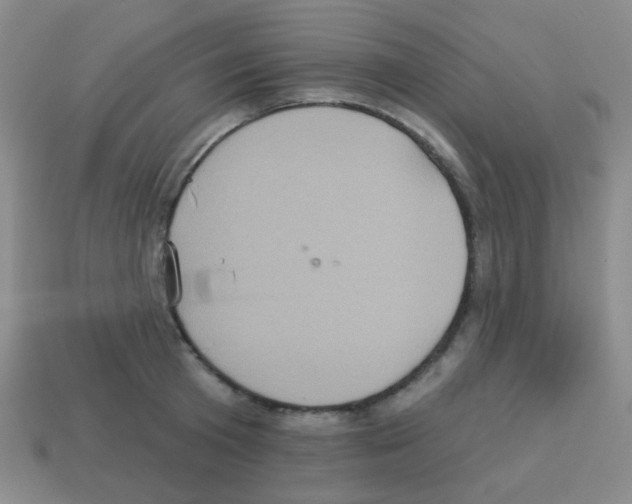 X0000113230801200910221038