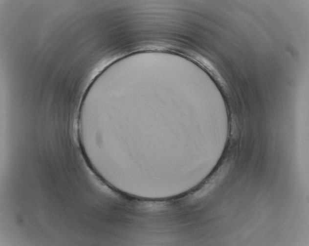 X0000113230802200910221038