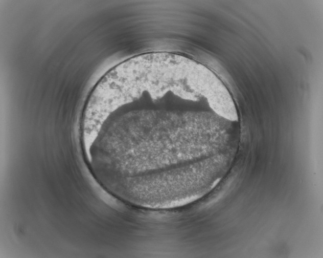 X0000113230803200910221038