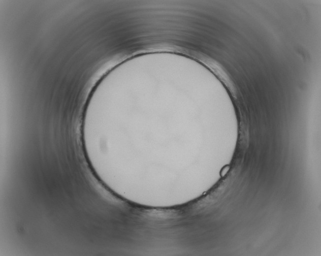 X0000113230805200910221038