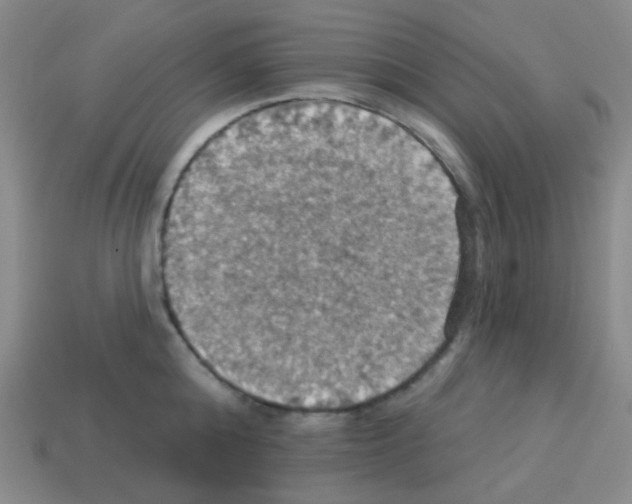 X0000113230808200910221038