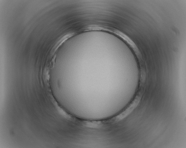 X0000113230809200910221038