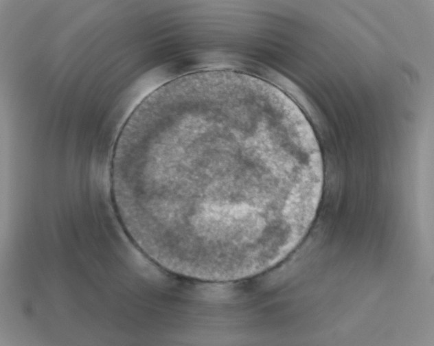 X0000113230810200910221038