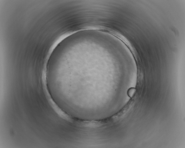 X0000113230811200910221038