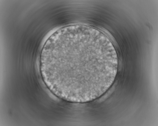 X0000113230812200910221038