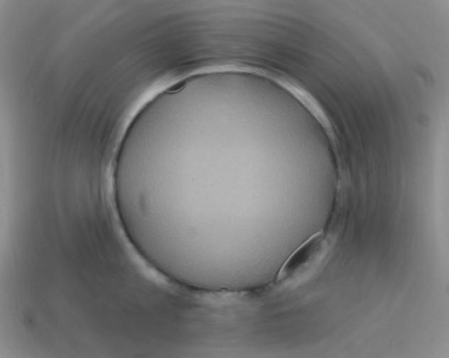 X0000113230813200910221038